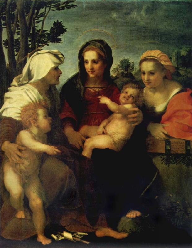 Andrea del Sarto Madonna and child with Sts Catherine and Elizabeth,and St John the Baptist China oil painting art